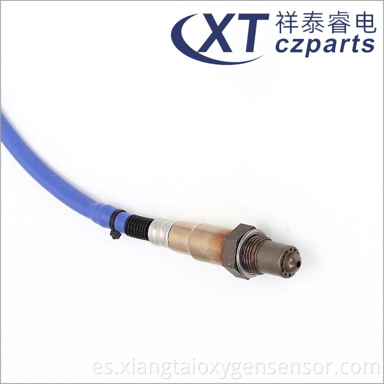 Oxygen Sensor